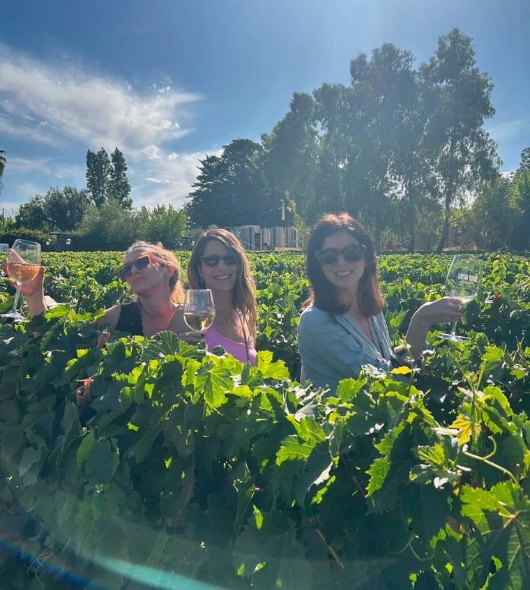 No te pierdas las fotos y videos, en la nota. Foto: Instagram