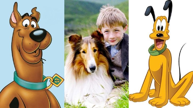 MASCOTAS SCOOBY DOO, LASSIE Y PLUTO SON ALGUNOS DE LOS PERROS MÁS FAMOSOS DE LA HISTORIA DE LA TELEVISIÓN Foto: EL HERALDO DE MÉXICO