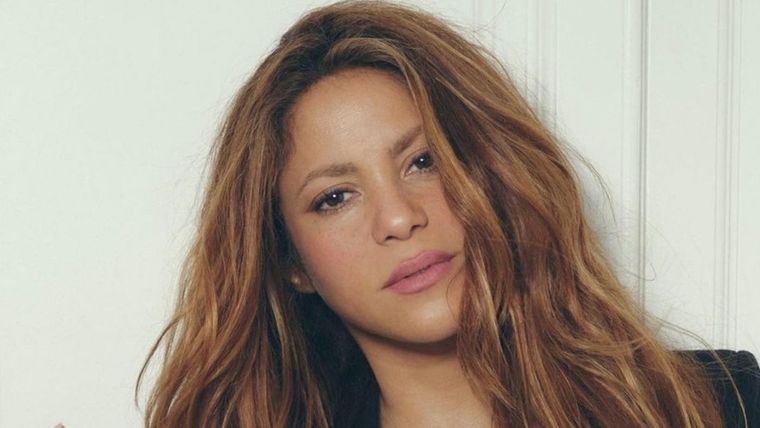 Shakira siempre deslumbra con sus looks.