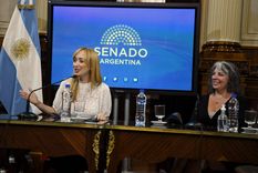 el cargo clave para el kirchnerismo que retuvo anabel fernandez sagasti el cargo clave para el kirchnerismo que retuvo anabel fernandez sagasti
