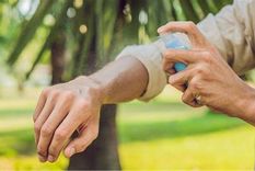 Evitar las picaduras de mosquitos, eludir la exposición en las horas de mayor actividad de los mosquitos (atardecer) Foto: MDZ