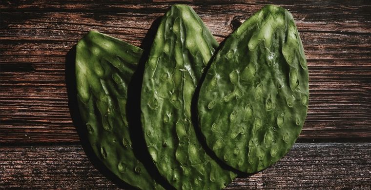 Retira las espinas una vez que tengas la hoja Foto: Shutterstock