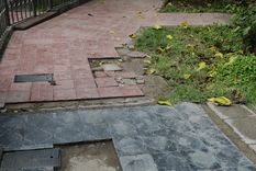 Foto: Alf Ponce / MDZ