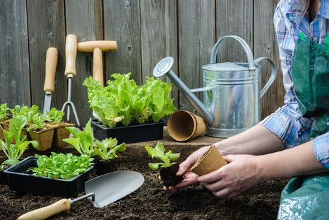 La preparación de la tierra es importante para la salud de las plantas. Foto: SHUTTERSTOCK La preparación de la tierra es importante para la salud de las plantas. Foto: SHUTTERSTOCK