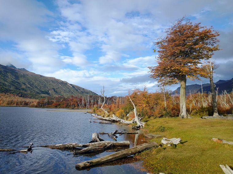 Foto: Monica Cristina Montcchia/Google Maps