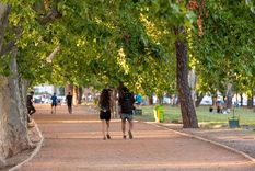 Foto: Santiago Tagua/MDZ