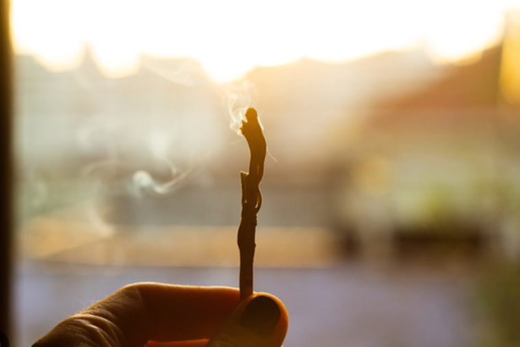 El Palo Santo, amado por muchos en la Argentina.