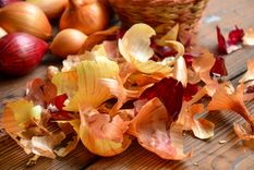 La cáscara de cebolla sirve como repelente natural contra plagas en el jardín. Foto: Shutterstock