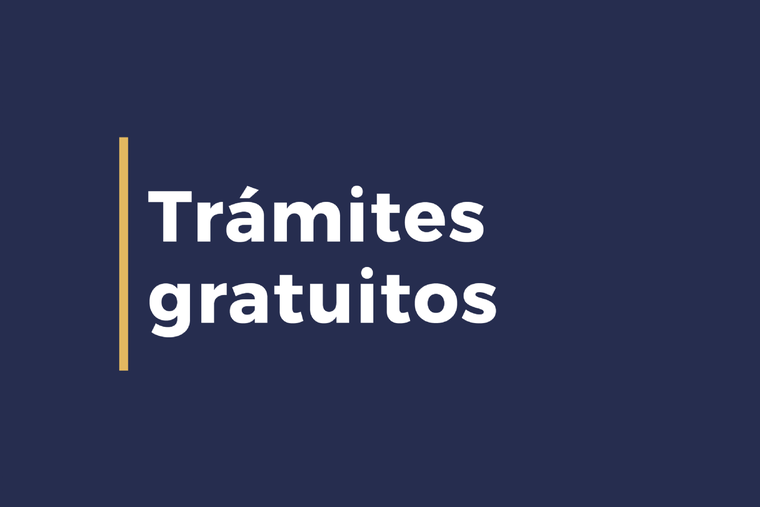 Anses advierte que todos sus trámites son gratuitos y no se debe caer en estafas de terceros Foto: Anses