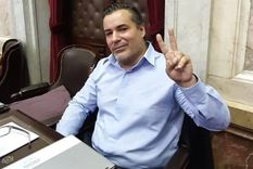 diputados por mendoza: un peronista y un radical quieren echar a ameri