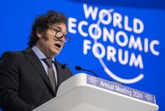 El presidente Javier Milei está decidido a cortar las transferencias discrecionales a las provincias pero la pulseada no será fácil.