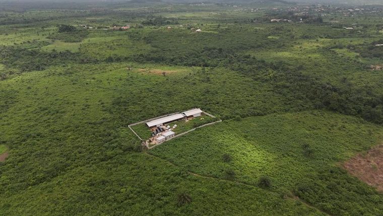 El supuesto laboratorio estaba escondido dentro del bosque.