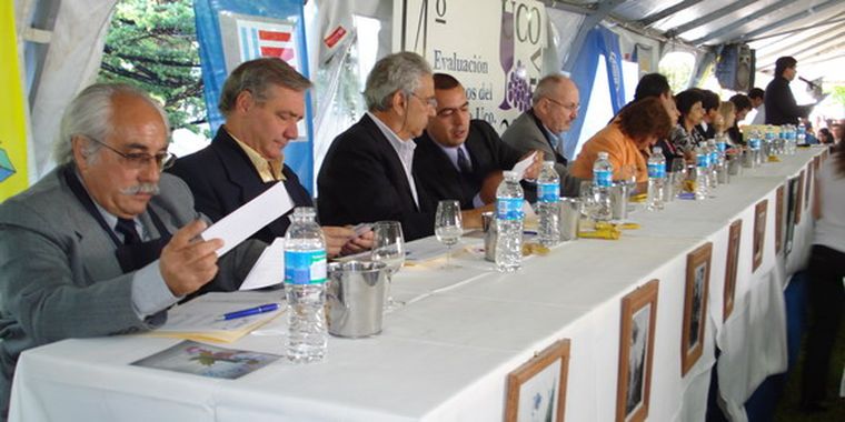 Los 14 miembros del jurado de la Ucovin.