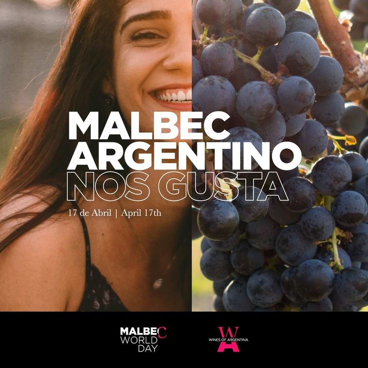 El mes del Malbec se festejará en el mundo. Foto: Wines of Argentina