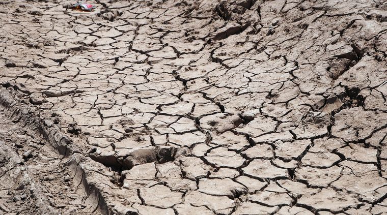 Un paisaje habitual del planeta, sitios donde falta el agua. Foto: ALF PONCE MERCADO / MDZ