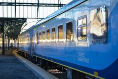 El tren que une la Ciudad de Buenos Aires con el sur del conurbano no correrá el domingo. Foto: Trenes Argentinos