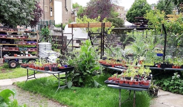 Los huertos urbanos dejan una huella de carbono seis veces mayor. Foto: Dpa.