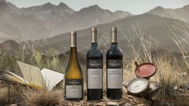 Las novedades de Terrazas de los Andes.