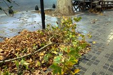 Foto: ALF PONCE MERCADO / MDZ