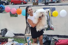 Postales de una tarde atípica en Plaza España: cuando el pulso de la ciudad se detiene para un festejo de cuatro patas.