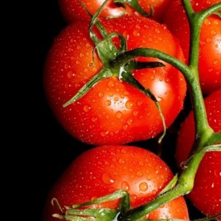 Así debes almacenar los tomates Foto: Shutterstock