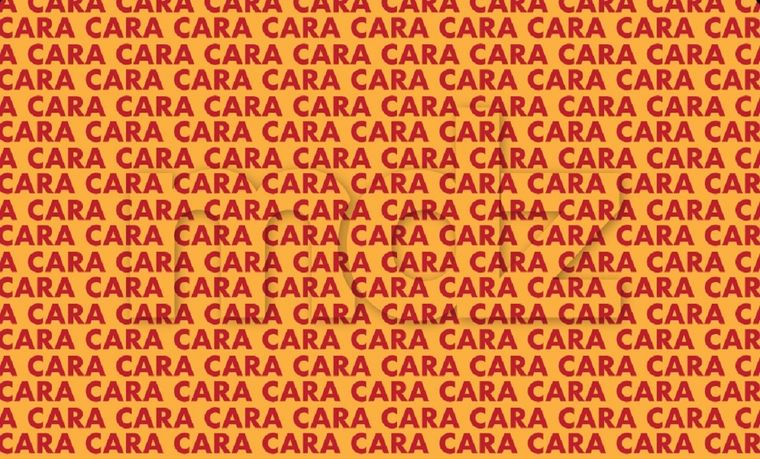 El acertijo de MDZ es una de las tareas más entretenidas y complejas de resolver Foto: Archivo MDZ