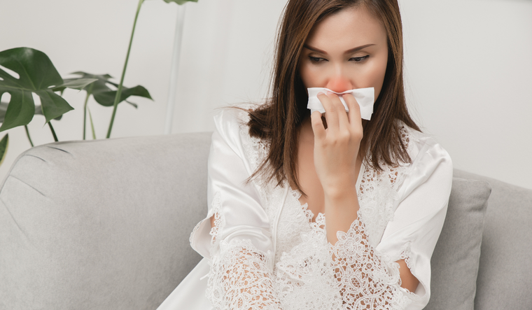 No mas alergias con esta planta. No mas alergias con esta planta.