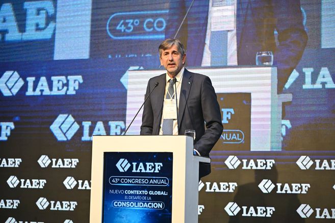Pablo Miedziak, presidente del IAEF. Pablo Miedziak, presidente del IAEF.
