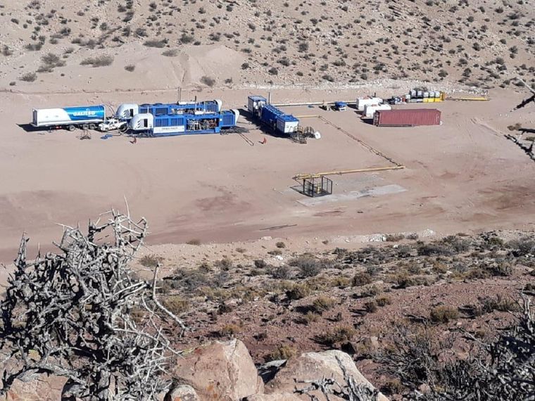 Calmuco en Malargüe. Foto: EMESA