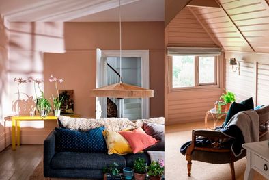 MDZol | Los rosas son físicamente relajantes. Foto: Farrow & Ball / Agencia Asger Mortensen-Wester