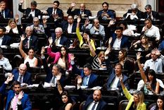 La ley ómnibus continuará debatiéndose en el Congreso Foto: Télam