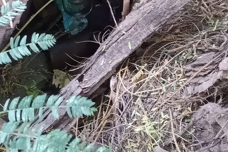 El arma secuestrada Foto: Prensa Ministerio de Seguridad