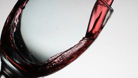 El mejor Malbec del mundo, según Pepe Honguito