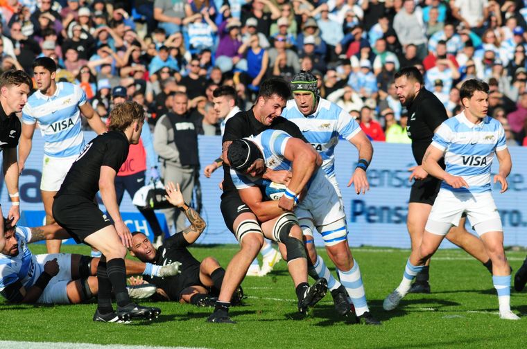 Nueva Zelanda jugarán por duplicado en Argentina. Foto: ALF PONCE MERCADO / MDZ