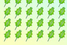 El acertijo visual de la hoja verde es muy difícil de resolver Foto: Archivo MDZ El acertijo visual de la hoja verde es muy difícil de resolver Foto: Archivo MDZ