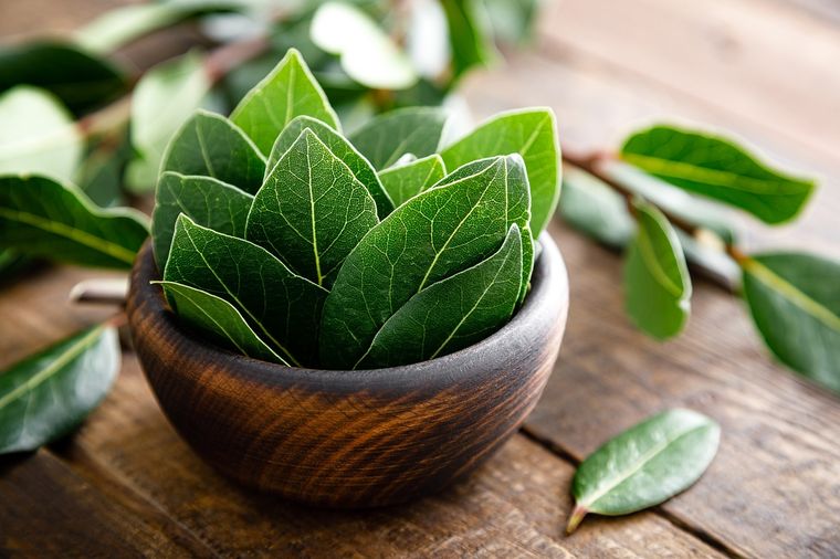 Las hojas de laurel tienen distintos usos, entre los que están las limpiezas energéticas. Foto: SHUTTERSTOCK