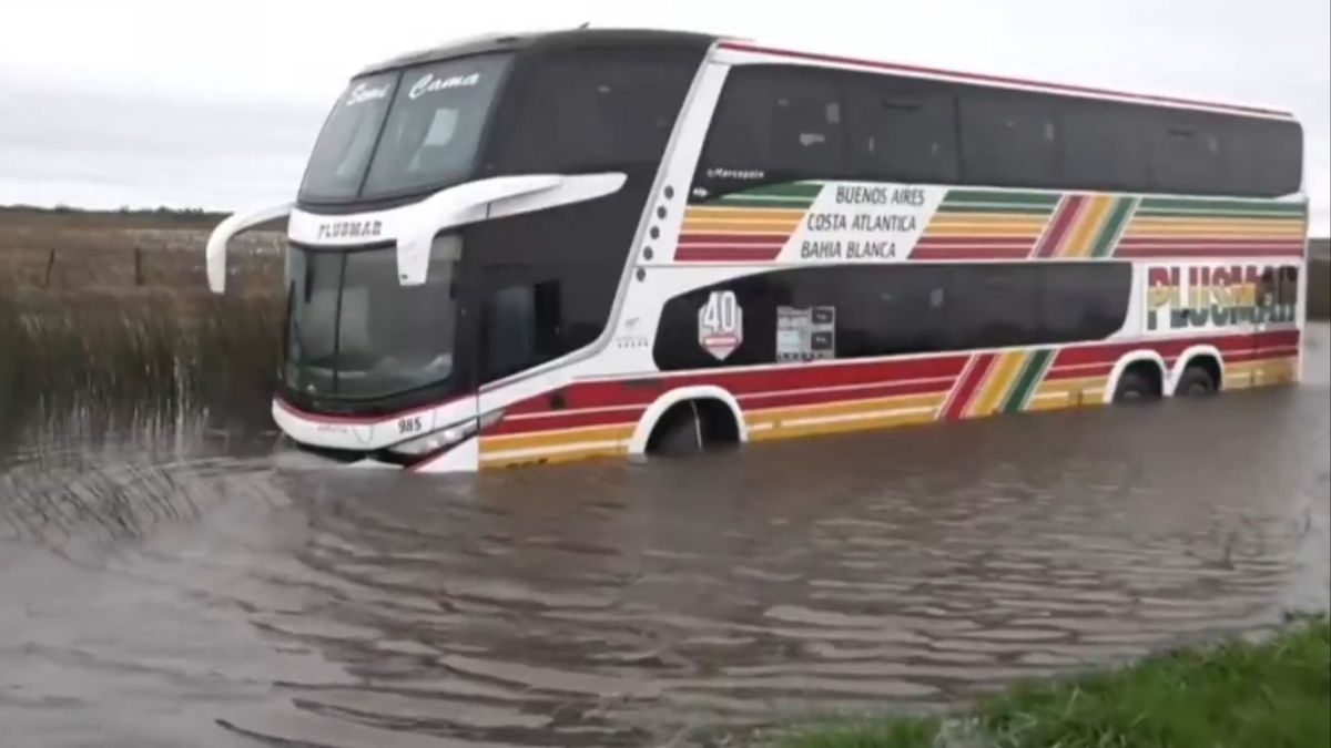 Un micro terminó en una zanja inundada tras despistar por la tormenta de Santa Rosa: "Una ráfaga nos sacó de la ruta"
