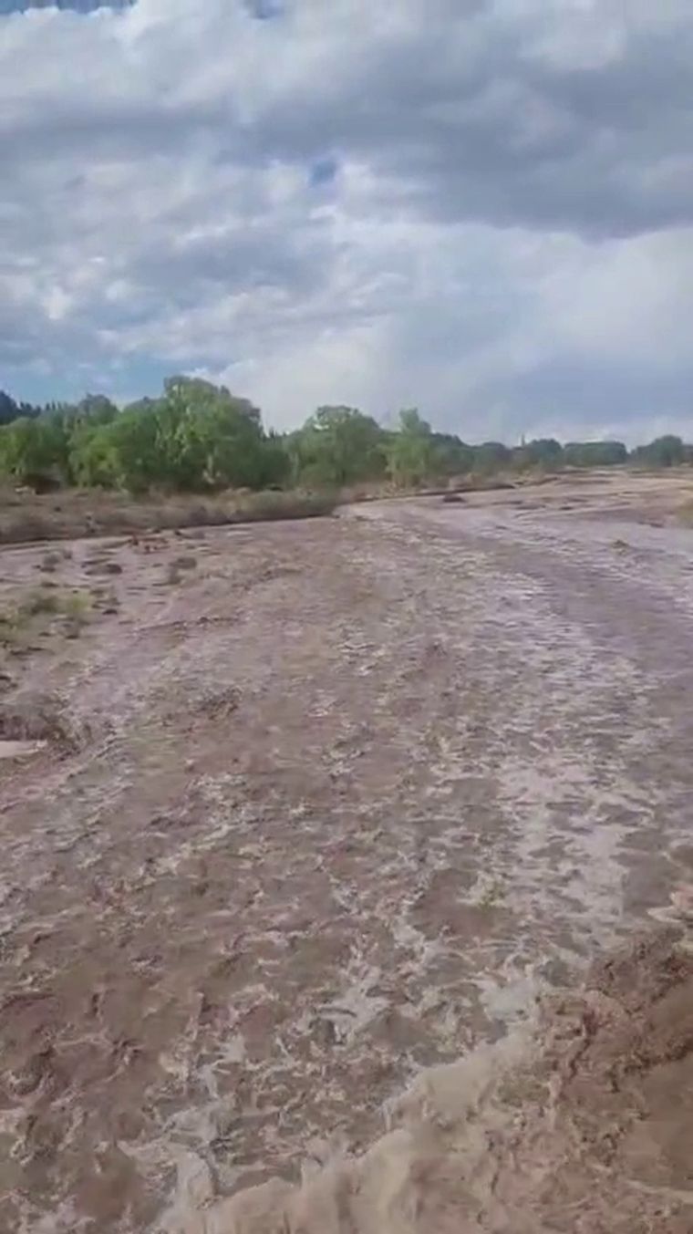 vlcsnap-2025-11-14-19h23m35s677.v1