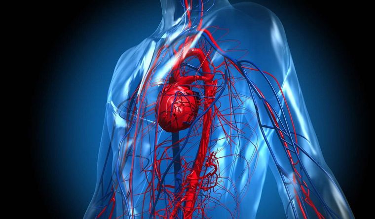 La droga que comienza a utilizarse en el país permite evitar las hospitalizaciones y muertes por causas cardiovasculares. Foto: VH.