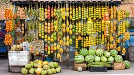 Entre las miles de especies nativas de la Amazonía hay alrededor de 220 árboles que dan frutos comestibles. Entre las miles de especies nativas de la Amazonía hay alrededor de 220 árboles que dan frutos comestibles.