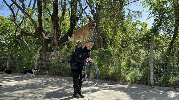 Escuadra Fiel, la querida división de perros entrenados por la Policía de la Ciudad. Foto: Victoria Urruspuru / MDZ