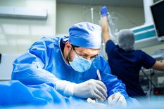 Uno de los errores más frecuentes es realizar cirugías en lugares sin internación, sin terapia intensiva ni control anestésico adecuado.