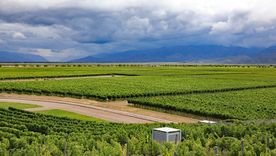 El domingo seguirá inestable en Mendoza, con lluvias y tormentas tras el fuerte temporal del sábado.