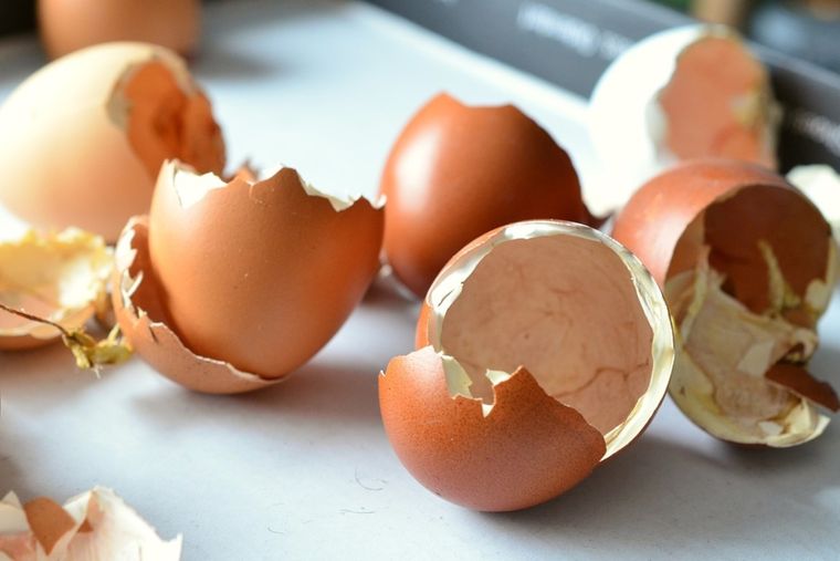Incorpórala a tu dieta.