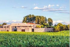 Bodega Enzo Bianchi.