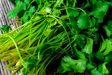 MDZol | Podar cada semana una zona diferente de la planta de cilandro permitirá que la planta produzca más hojas nuevas. Foto: Gentileza 123rf.com