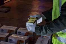 La gran cantidad de cartuchos de escopeta encontrados no estaban siendo trasladados por un transportista autorizado Foto: Gendarmería Nacional Argentina