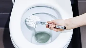 El truco sencillo y económico para mantener las bacterias a raya.&nbsp;