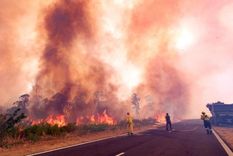 Los productores agropecuarios concurrirán el día de hoy a una asamblea abierta donde pedirán por más seguridad en las rutas y caminos rurales.  Foto: TELAM