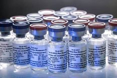 sputnik v: confirmaron cuando llegara la vacuna rusa a argentina